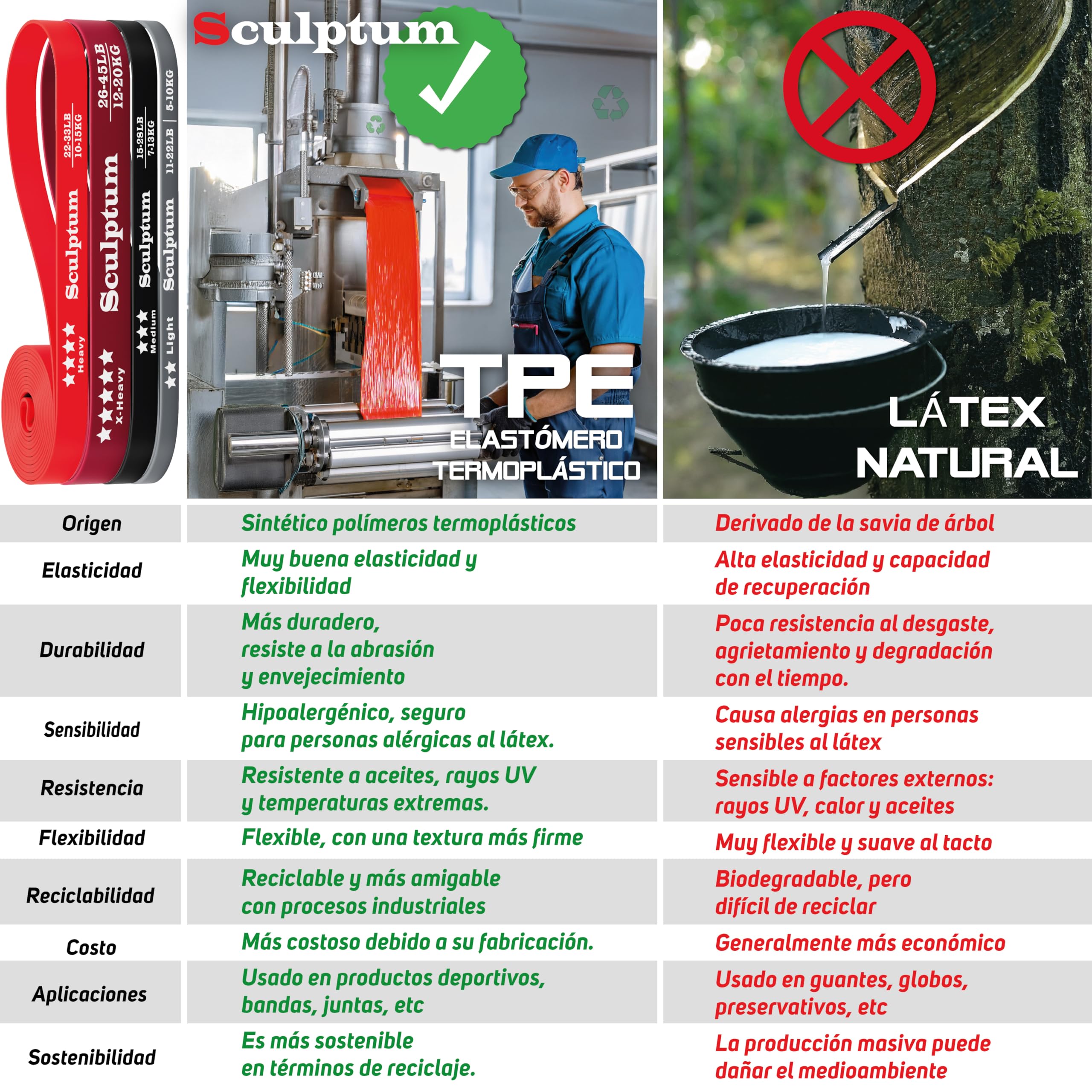 Anclajes para Bandas Elásticas de Resistencia | Bandas elásticas y Raíles con Enganches Cada 2,5 cm Sculptum™ | Gimnasio en Casa Multiposición | Entrena Todos los Músculos con Vídeos Incluidos