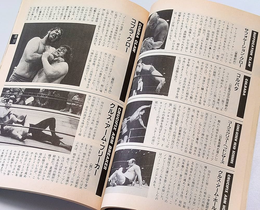 Amazon.co.jp: 週刊ゴング 12月25日増刊 プロレス観戦