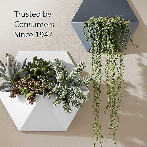 Vista 50 de Krylon - Pintura y primer en aerosol COLORmaxx K05511007, 12 onzas, rojo cereza brillante Cherry Red