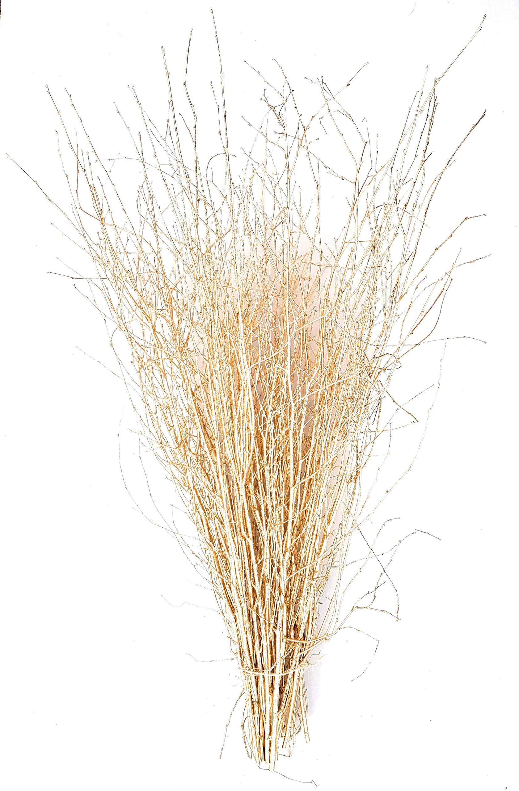 Coloured Birch Direct Gold Decorative Coloured Birch Twigs And Branches - 90 Cm - 25 Stems