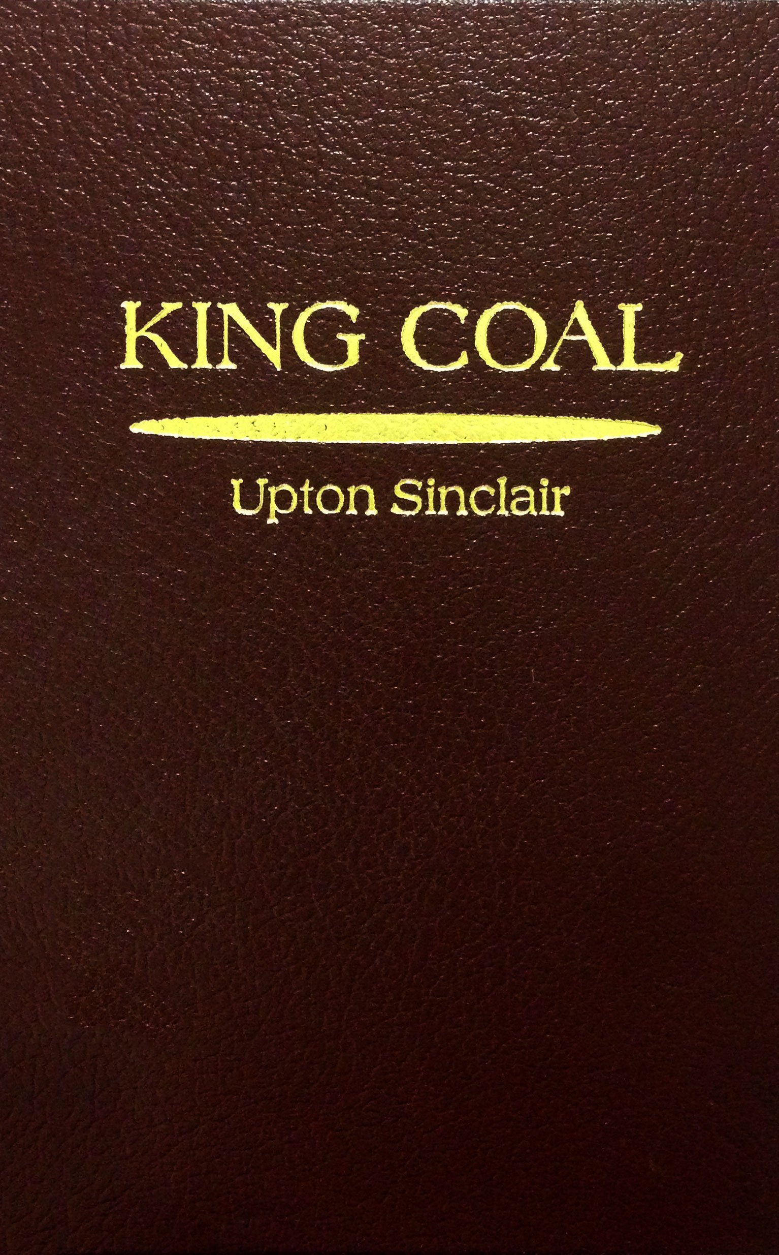 Buy King Coal — BookShops.in