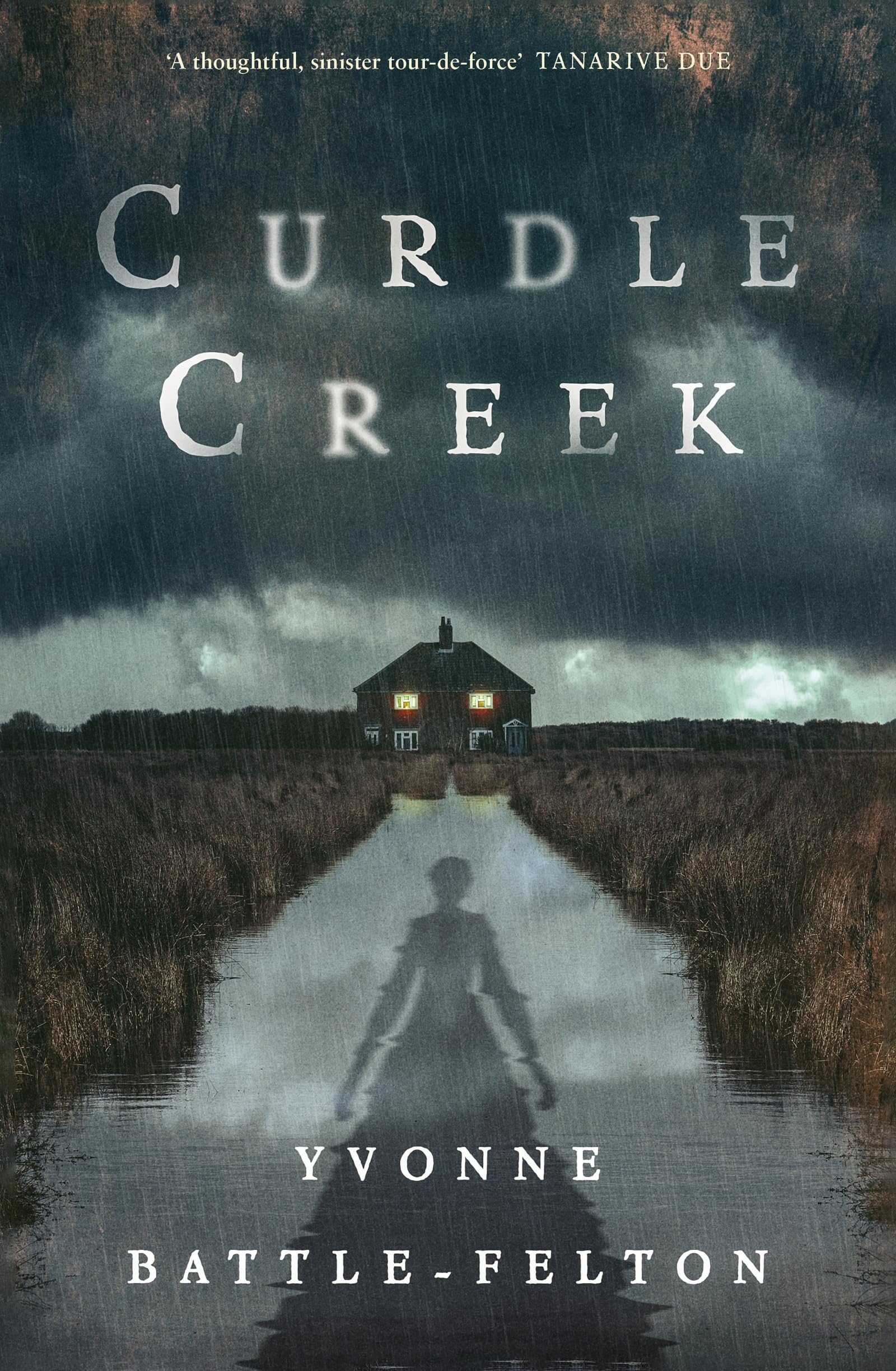 Curdle Creek by Yvonne Battle-Felton (Hardback Book)