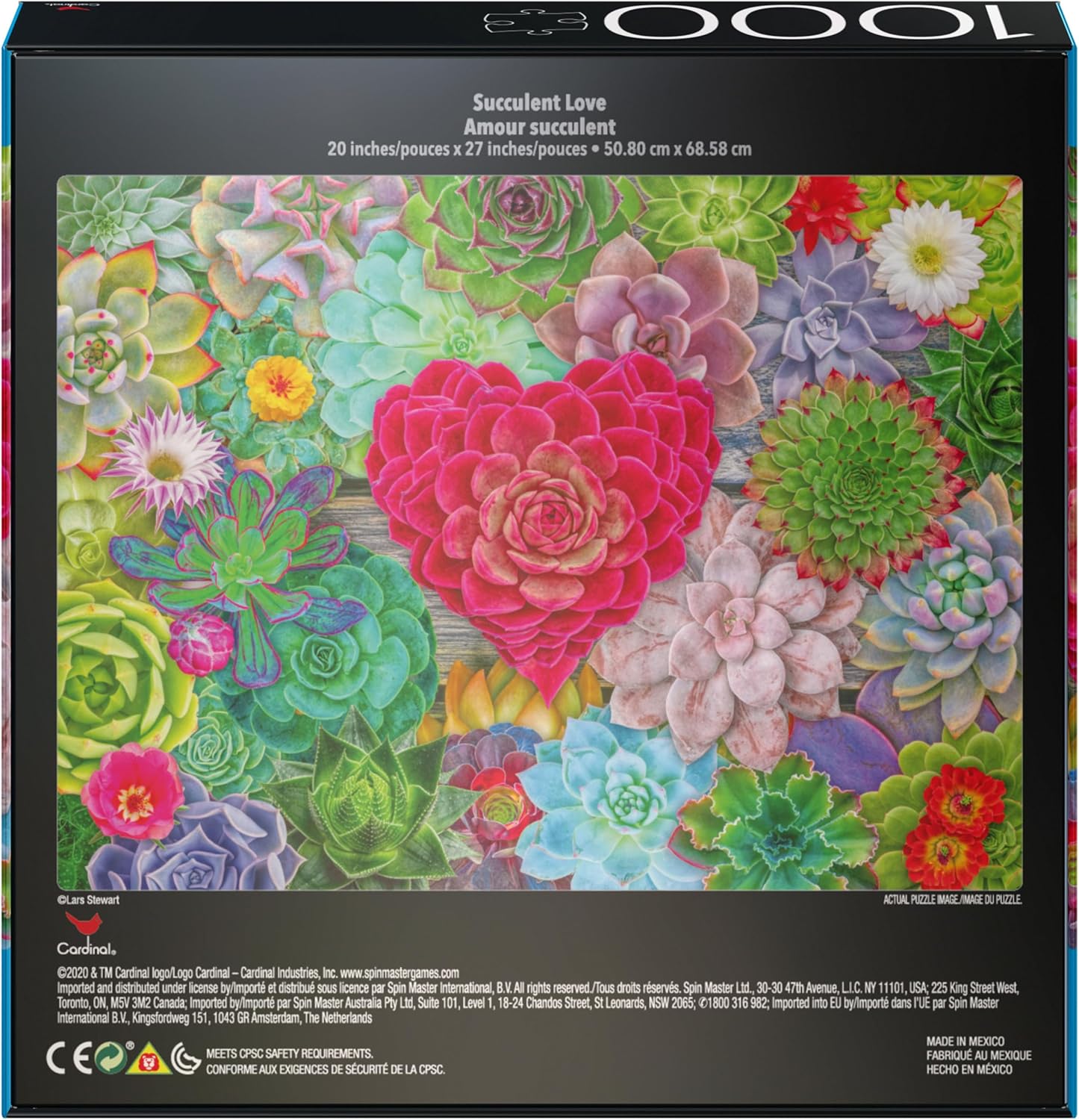 2-Pack of 1000-Piece Jigsaw Puzzles, Succulents & Rocks and Minerals | Puzzles for Adults and Kids Ages 8+, Amazon Exclusive