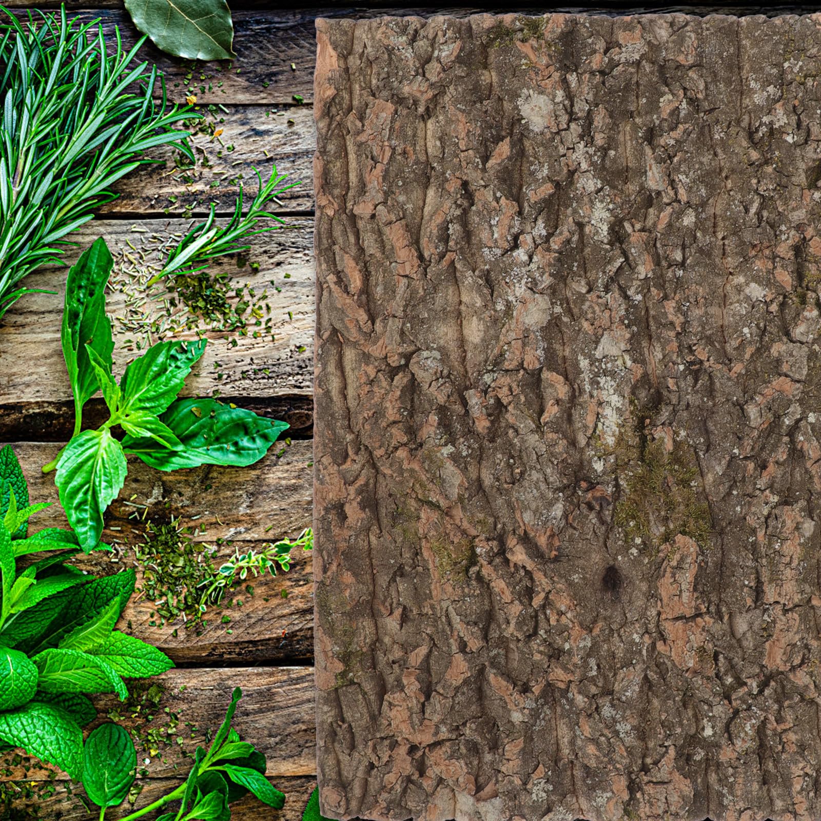 BESPORTBLE Cubierta de Corcho Natural para Ambientación de Terrarios, Plataforma Estable para Reptiles, Protección contra Humedad, Panel de Pared para Acuarios y Terrarios