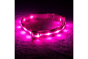 Blazin' Bison Safety LED Dog Collar
