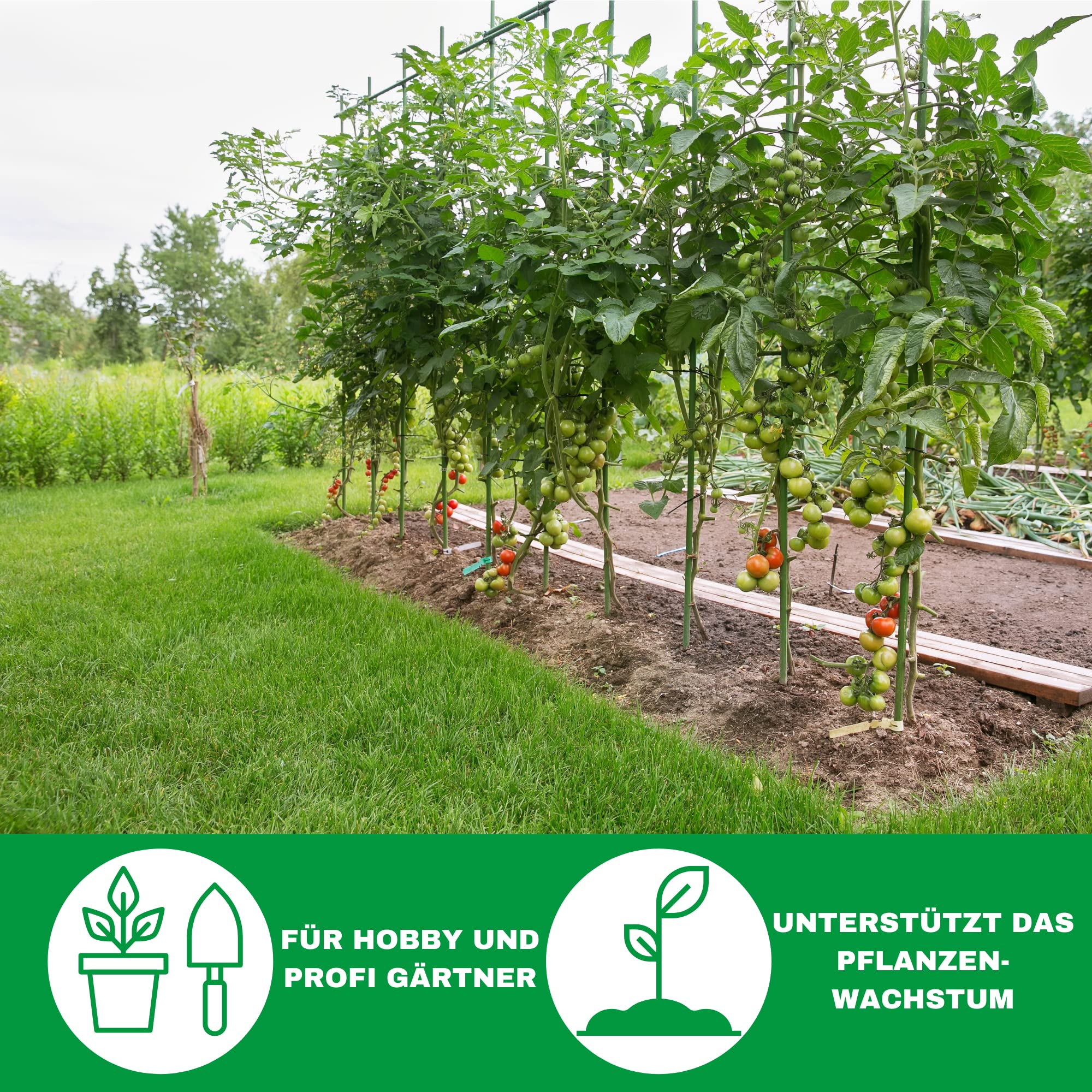 Novatool - Tallos para Plantas (120 cm, 11 mm, 10 Unidades), Color Verde