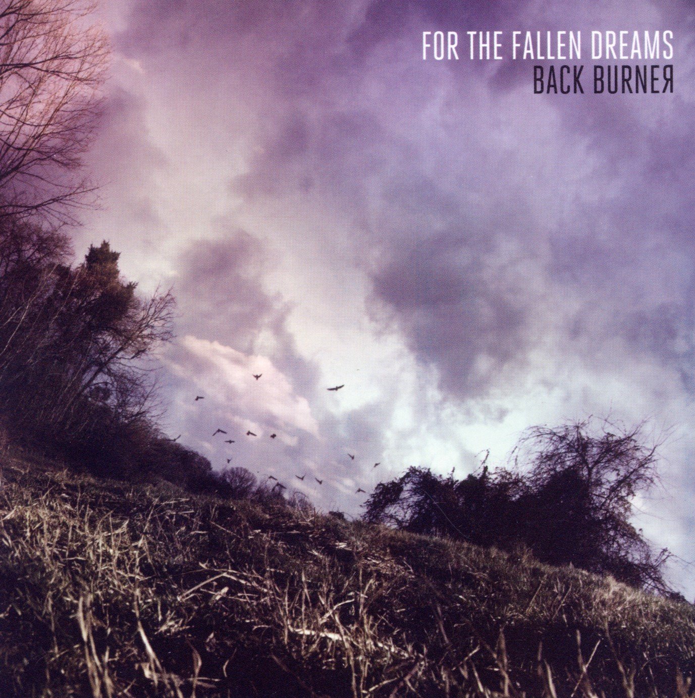 Back Burner [Audio CD] For The Fallen Dreams