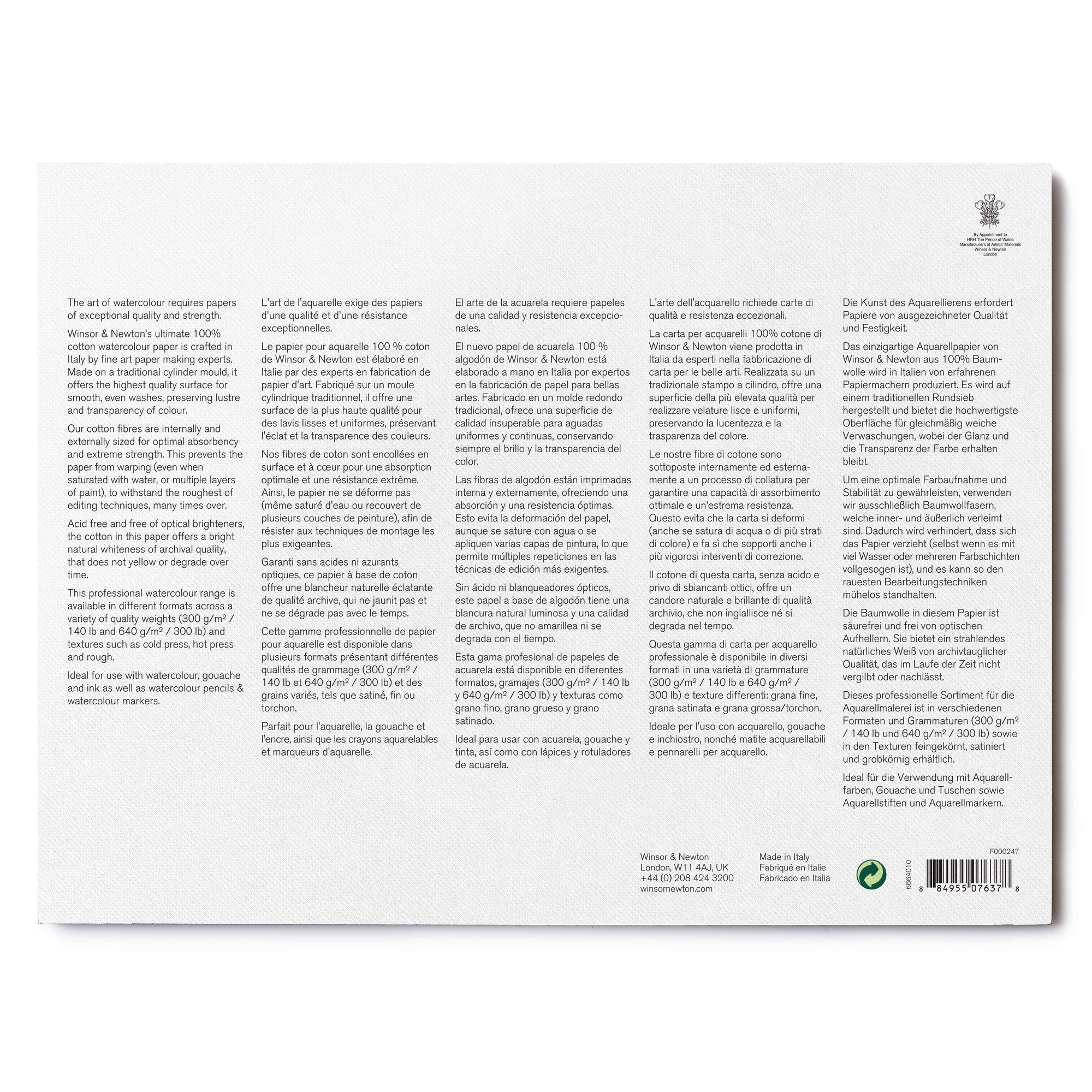 WINSOR & NEWTON PAPIER AQUARELLE PROFESSIONNELLE BLOC COLLÉ 4 CÔTÉS GRAIN TORCHON 300G 22,9X30,5CM 20 FEUILLES