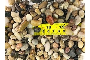 RG() 1 Pack: Polished Mixed Color Stones Small Decorative River Rock Stones 1LBS