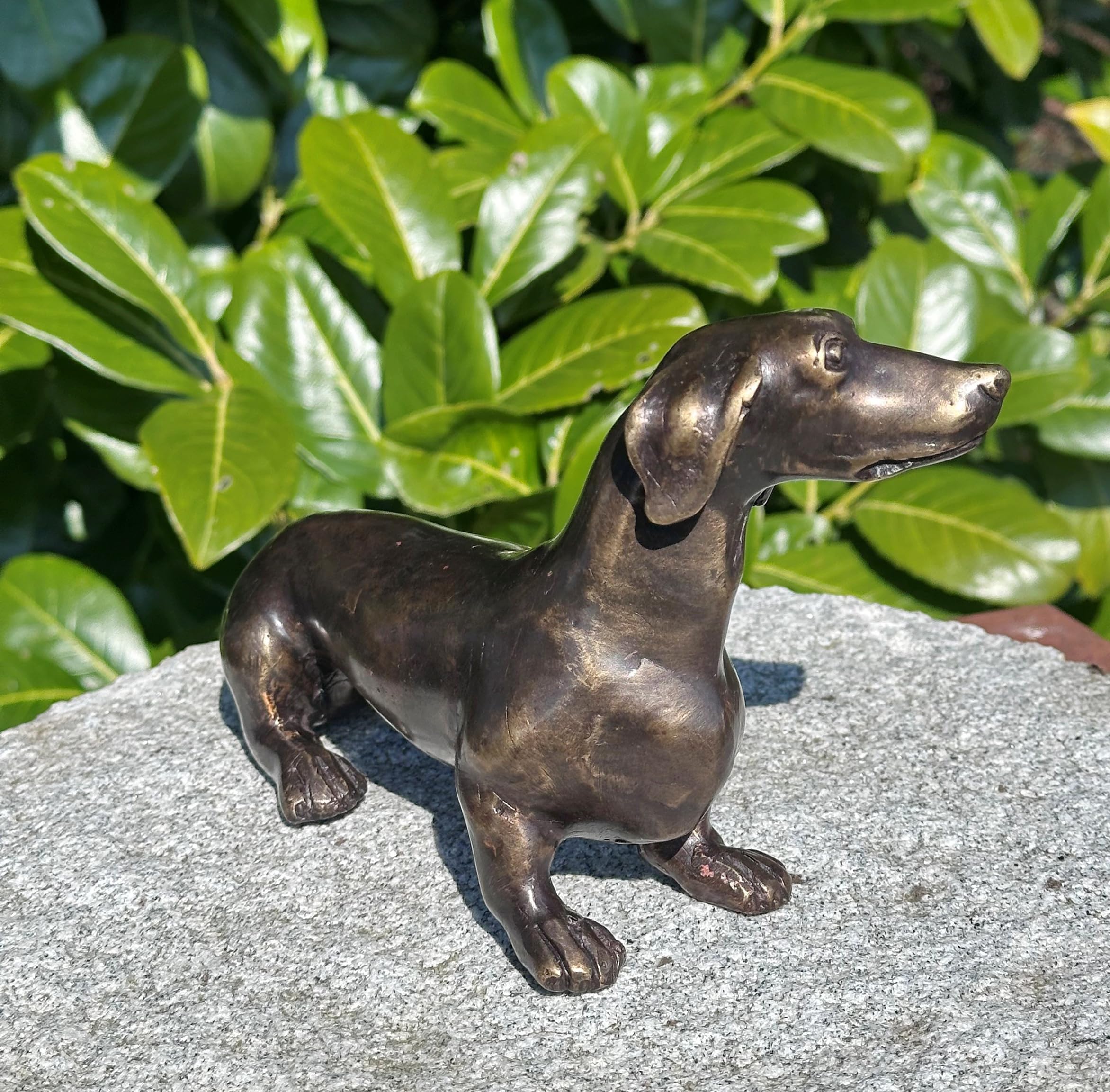 STEINFIGURENWELT GIEBEN Bronzefigur Dackel 12x20cm Dekoration aus Bronze Skulptur Tier Figur Deko Geschenk Bronzestatue Kurzhaardackel Wetterfest
