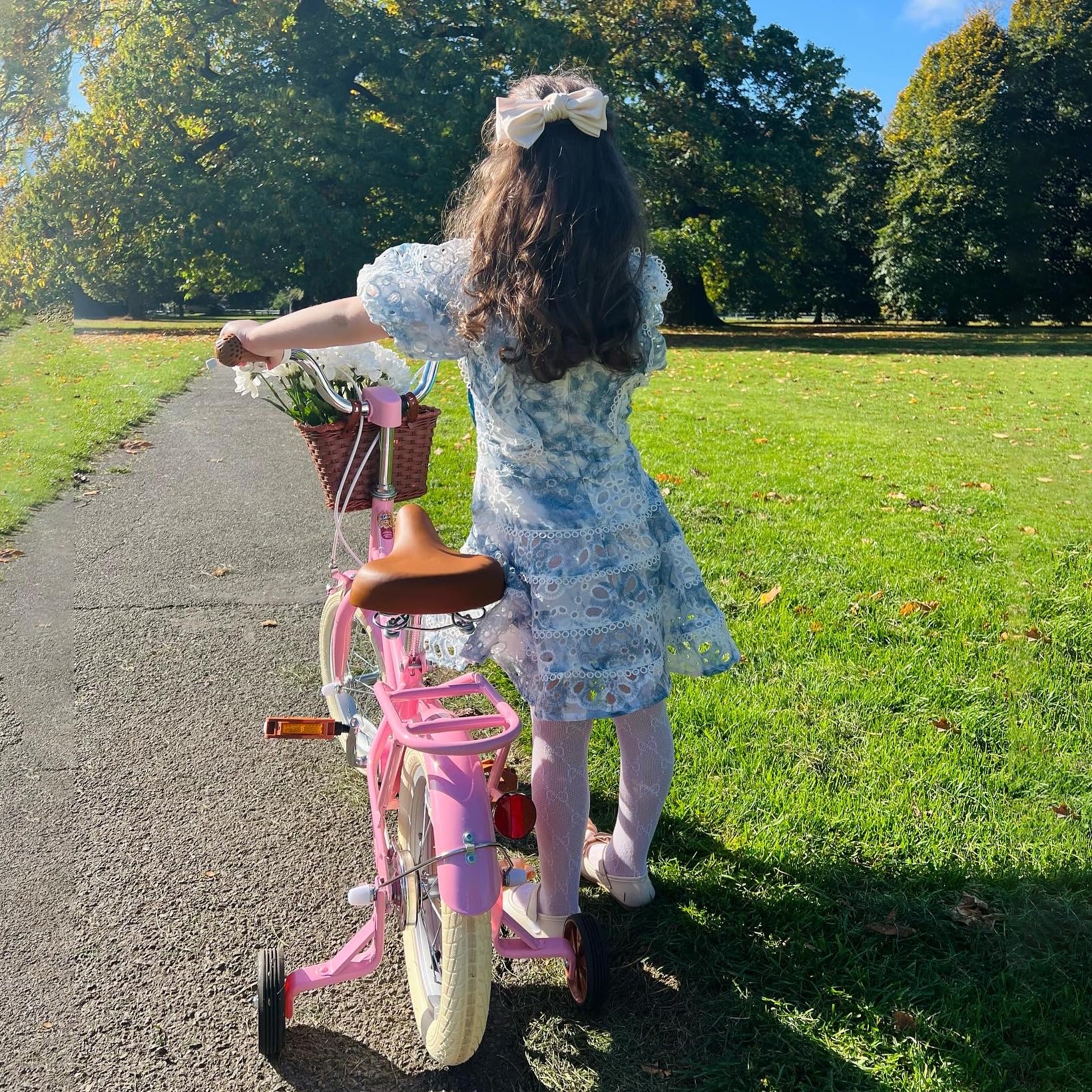 Bicicletta per bambini 12-18 pollici con cestino e ruote stabilizzatrici verde e rosa