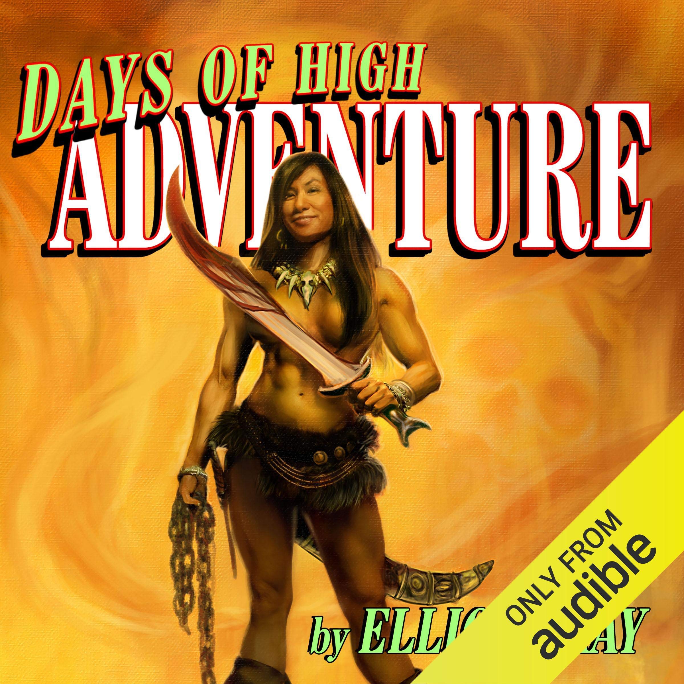 Cover art for Days of High Adventure