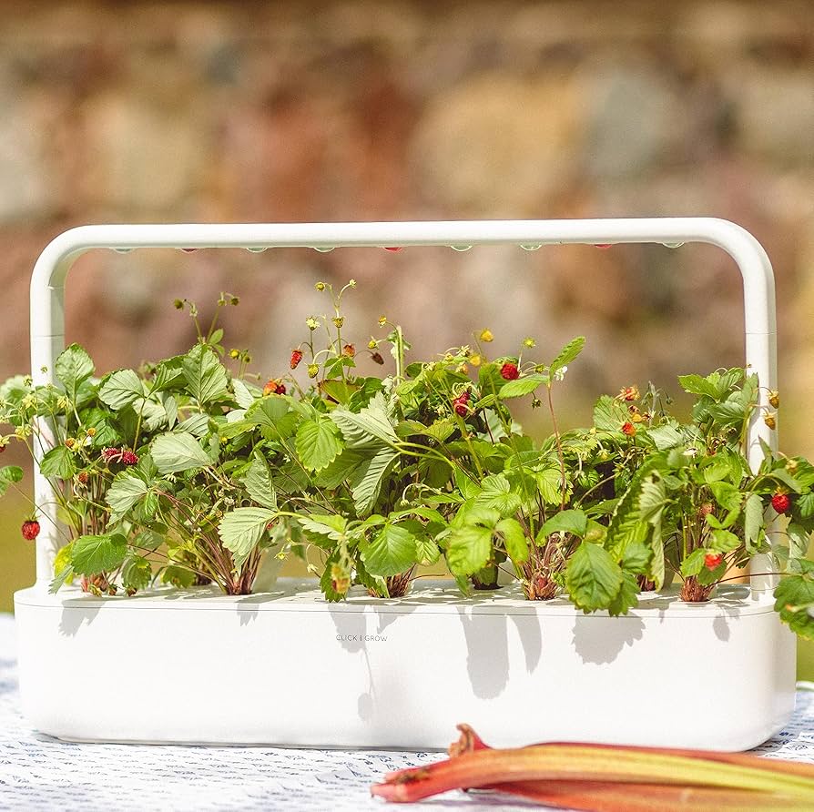 Amazon.com : Click and Grow Smart Garden Wild Strawberry Plant