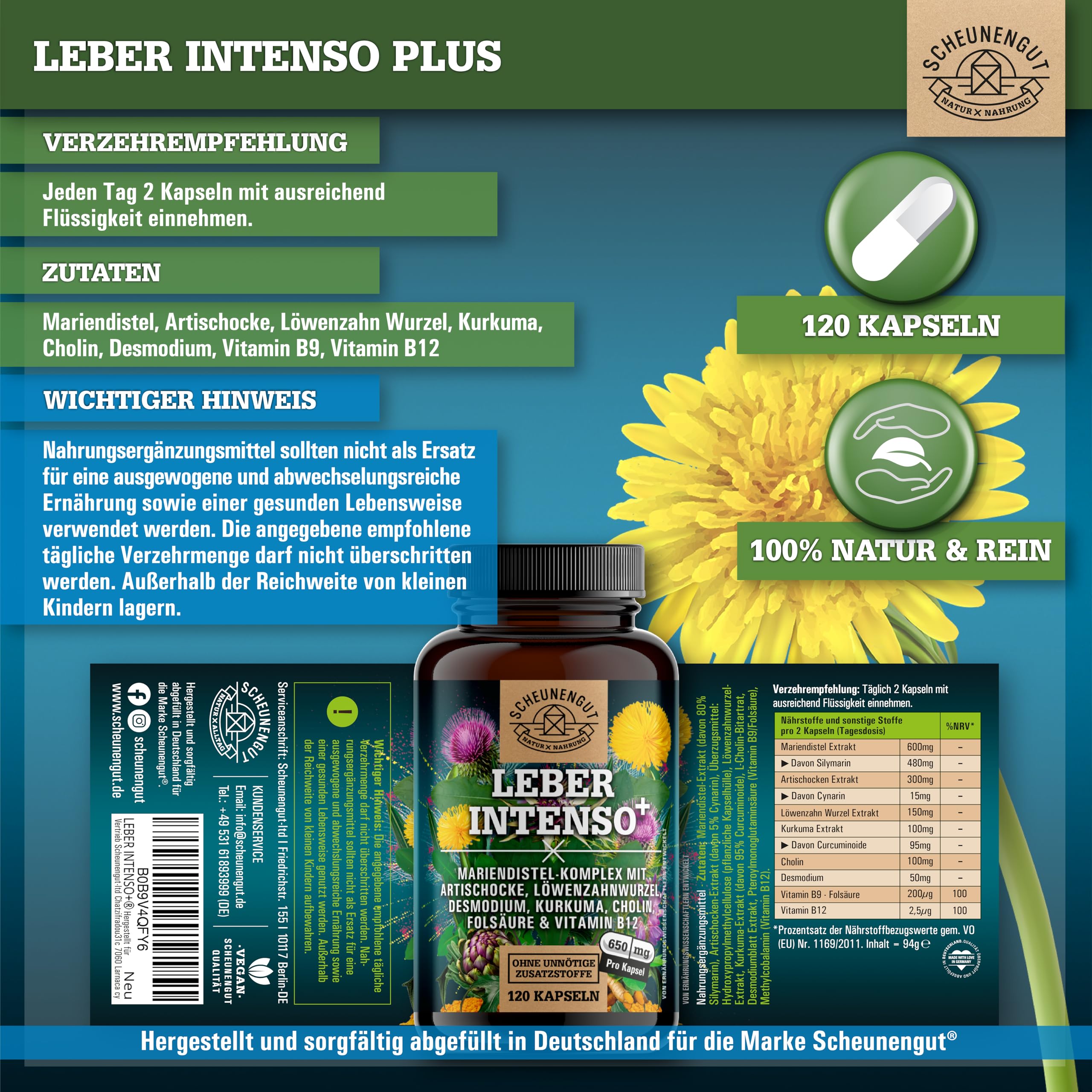 LEBER INTENSO®+ Leber Kapseln Hochdosiert -WICHTIG: Laborgeprüft mit Cholin, Mariendistel, Artischocke, Löwenzahn,Desmodium +80% Silymarin +5% Cynarin 120Stk DE SCHEUNENGUT®