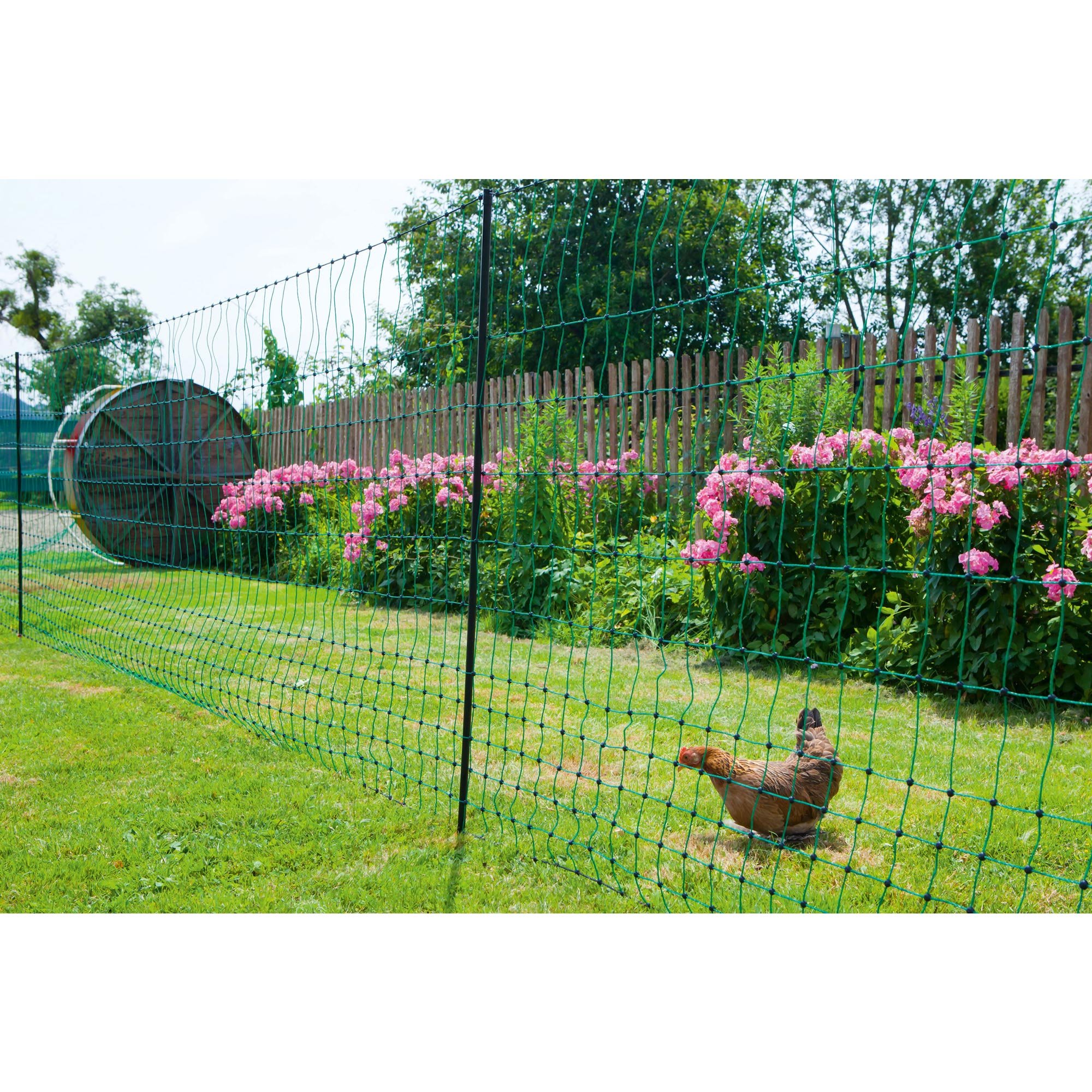 Kerbl Filet Double Pointe pour Élevage Volaille Vert 50 m x 112 cm S - non électrifiable