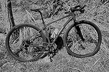 Review Image by Troy Troy