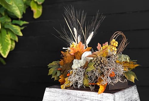 Miniatura 3 de SuperMoss (26911 Spanish Moss Dried, Natural, 8 onzas (paquete de 2)