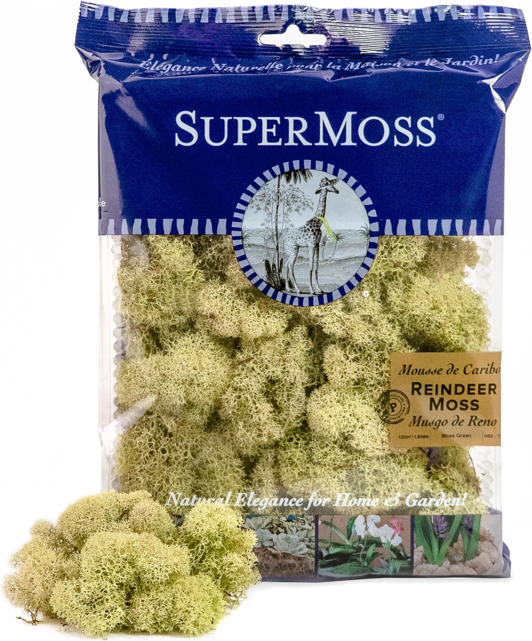 SuperMoss Super Moss (25116 Reindeer Moss Preserved, Moss Green, 2oz