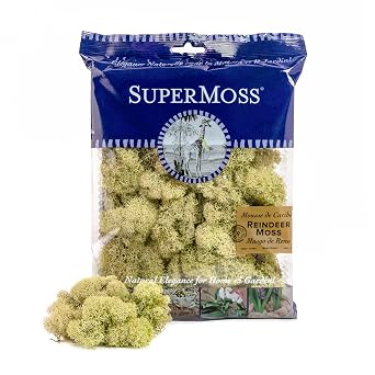 SuperMoss Super Moss 25116 Reindeer Moss Preserved, Moss Green, 2oz