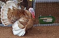 Vista 17 de Comedero de pollo, comedero de cabra – Paquete de 2, 5.5 cuartos de galón, para cabras, pollos, patos, ovejas, lechones, ciervos, gansos, pavos