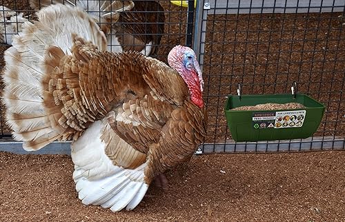 Miniatura 6 de Comedero para cabras, comedero colgante para pollo y pato, canal de alimentación para cerca, comedero de ganso con clips, suministros para cabra,