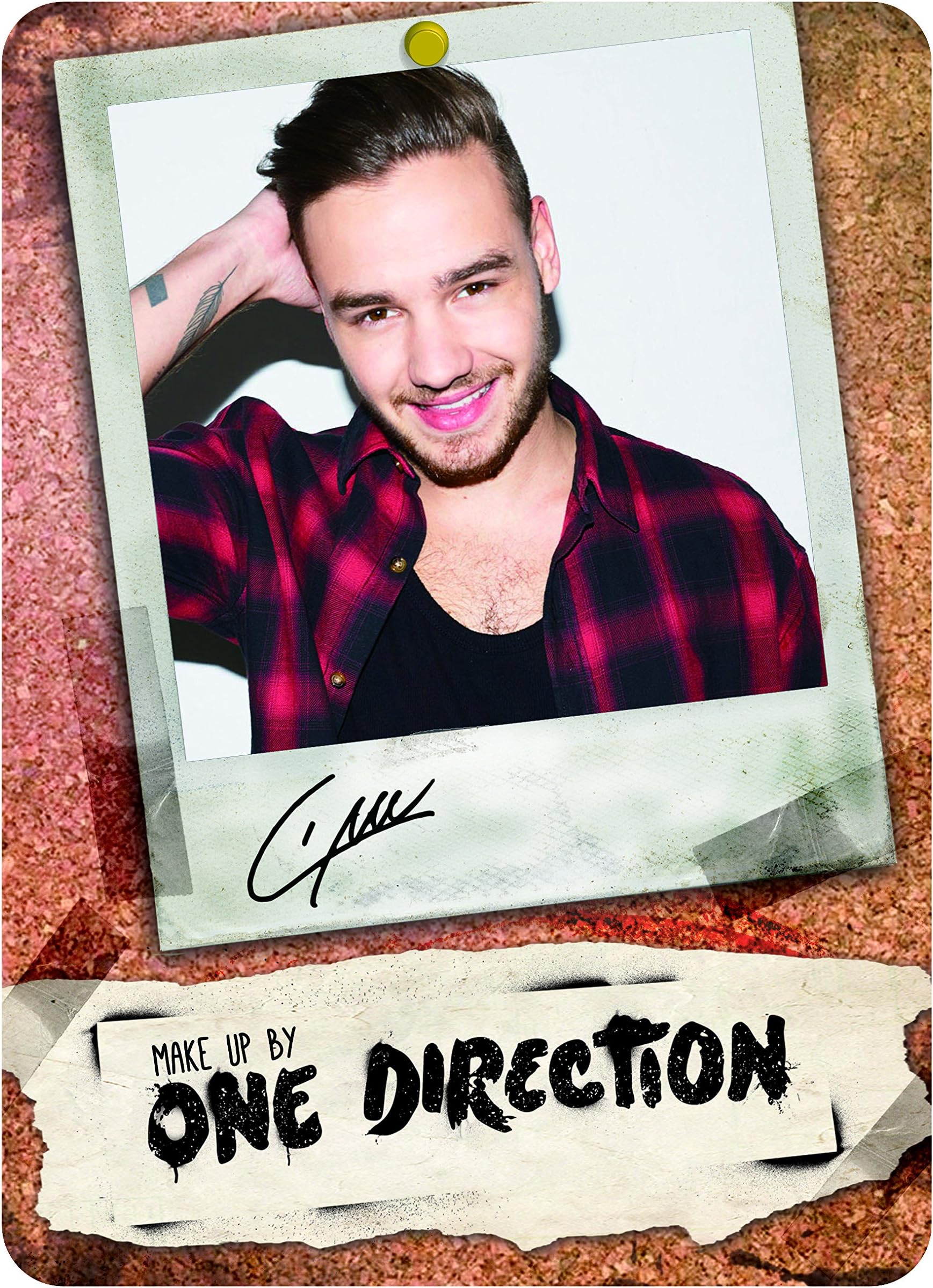 Make Up by One Direction The Complete Palette Collection Makeup, Liam, 16 Count