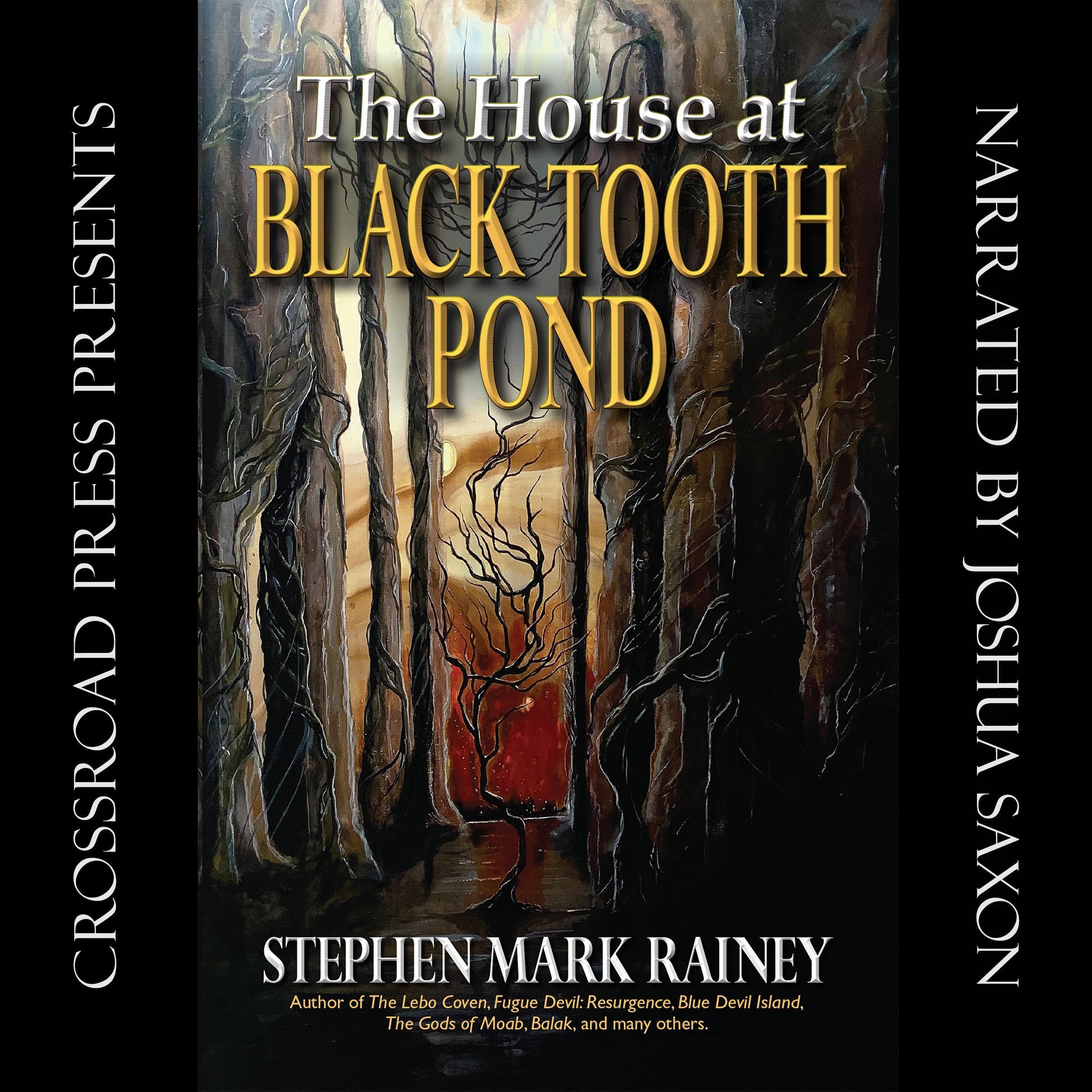 The House at Black Tooth Pond