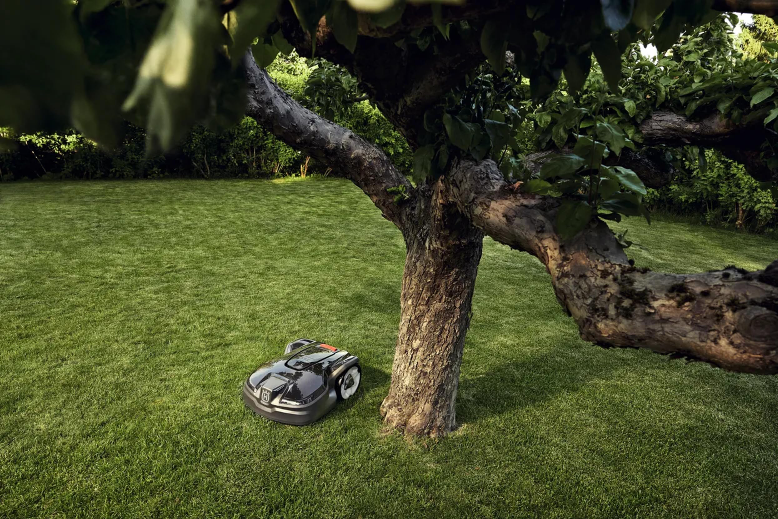 Robot tondeuse Husqvarna AUTOMOWER 305 - vue 2