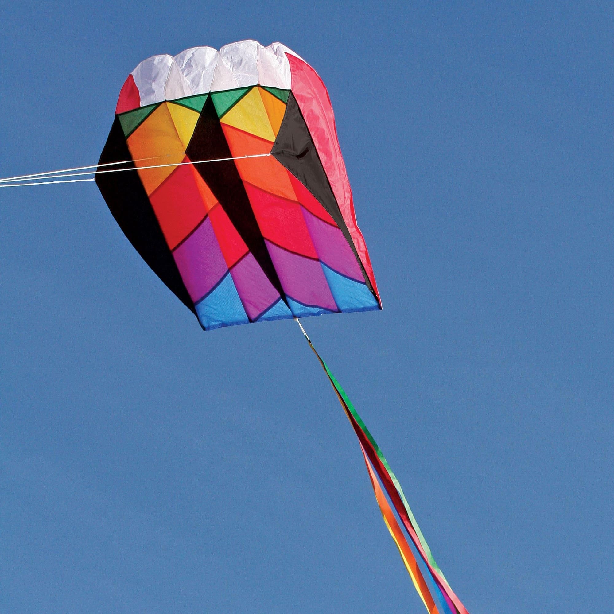 Into The Wind Parafoil 5 Kite
