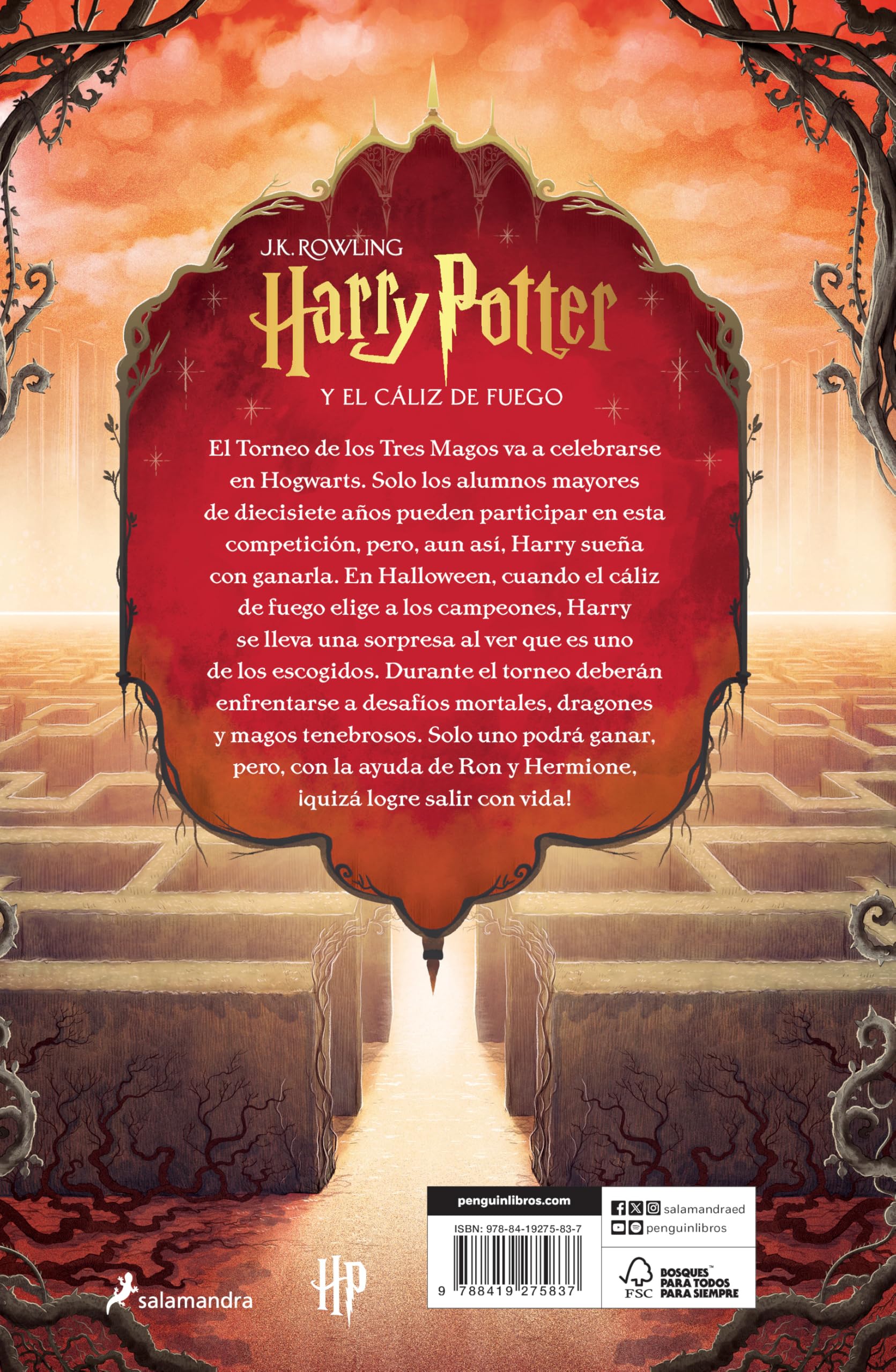 Harry Potter y el cáliz de fuego (Harry Potter [edición con ilustraciones de Xavier Bonet] 4)