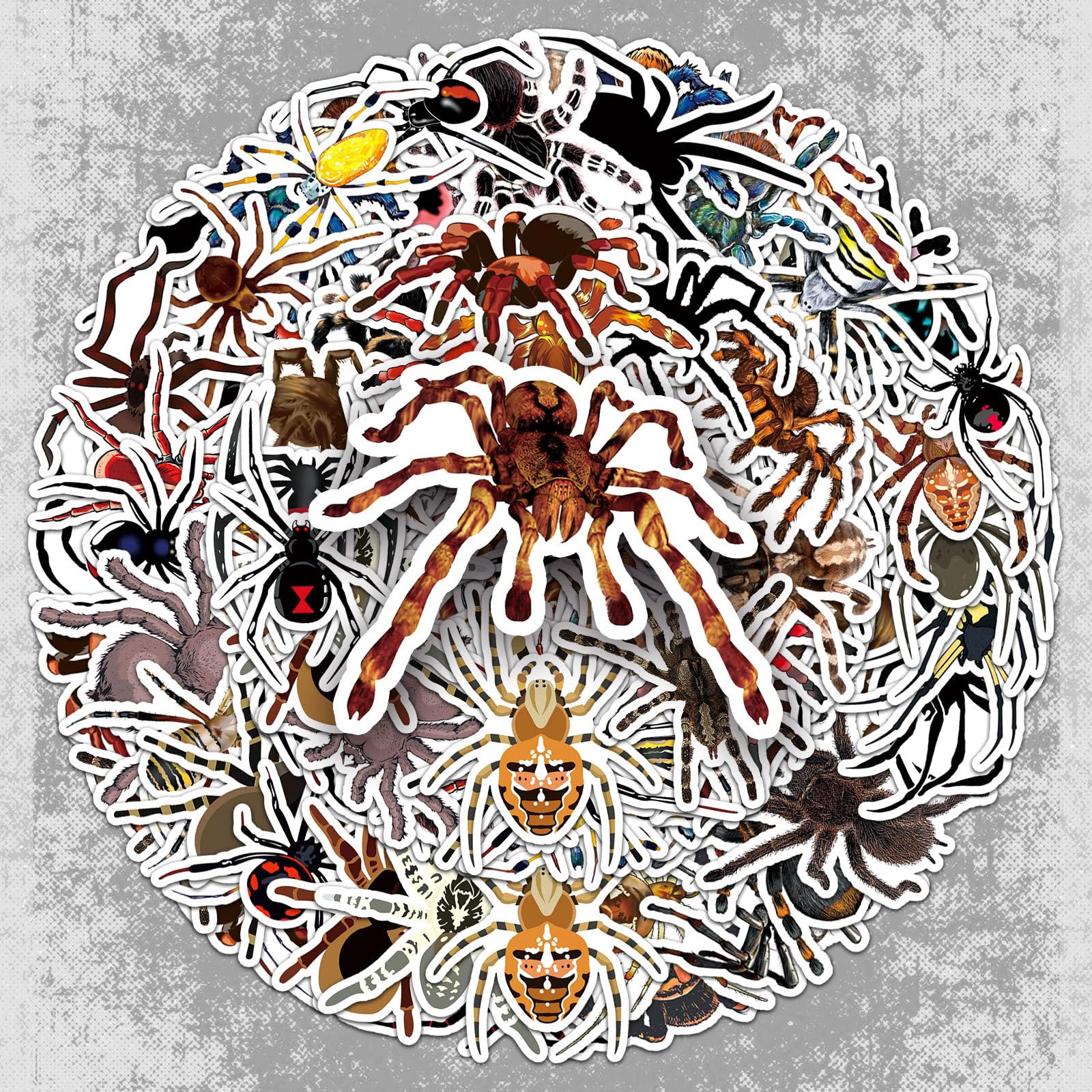 50 Pcs Spider Vinyl Stickers,Spider Animals Graffiti Stickers,Vinyl Waterproof Sticker for Kids Teens Girls,for Phone Laptop Bottles Skateboard Computer Phone Luggage Guitar Gifts Sticker - Image 4
