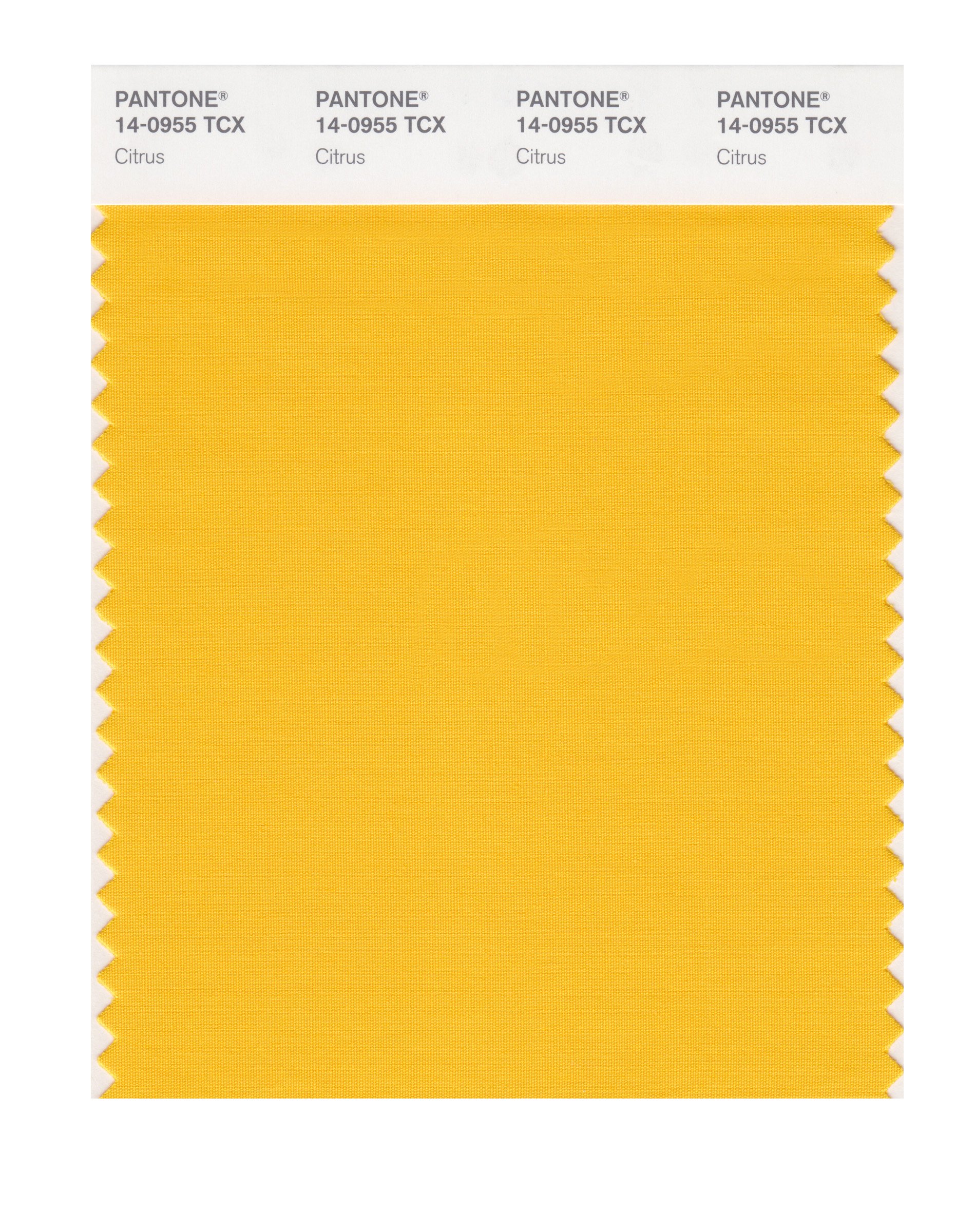 その他 PANTONE for fashion and  COLOR CARD その他 PANTONE for fashion and home COLOR CARD PANTONE® USA
