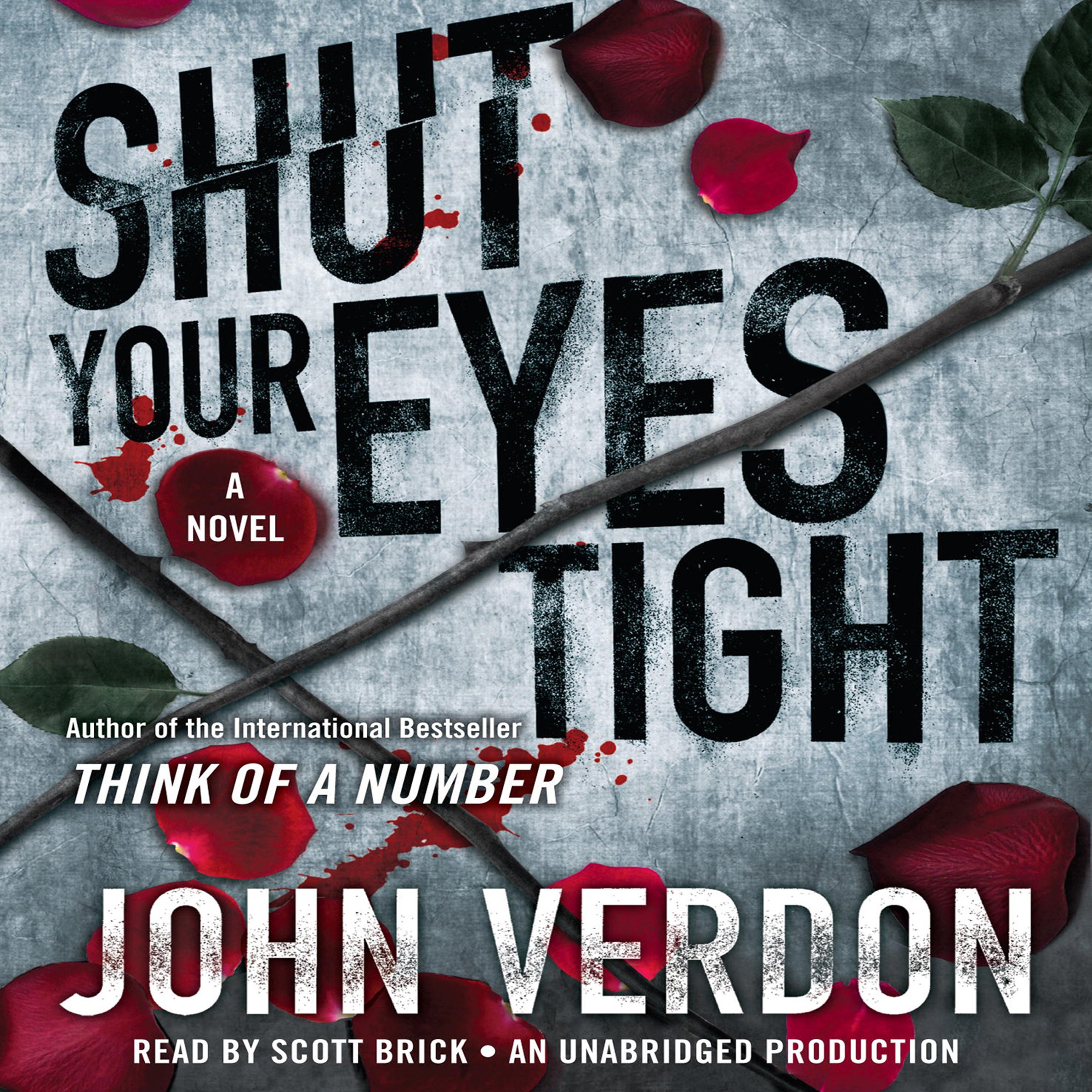 Shut Your Eyes Tight (Dave Gurney, No. 2)