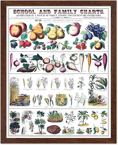 Miniatura 145 de Poster Master Póster vintage de orquídea, estampado de flores retro, arte de pared de plantas exóticas, arte botánico, regalo para hombres y