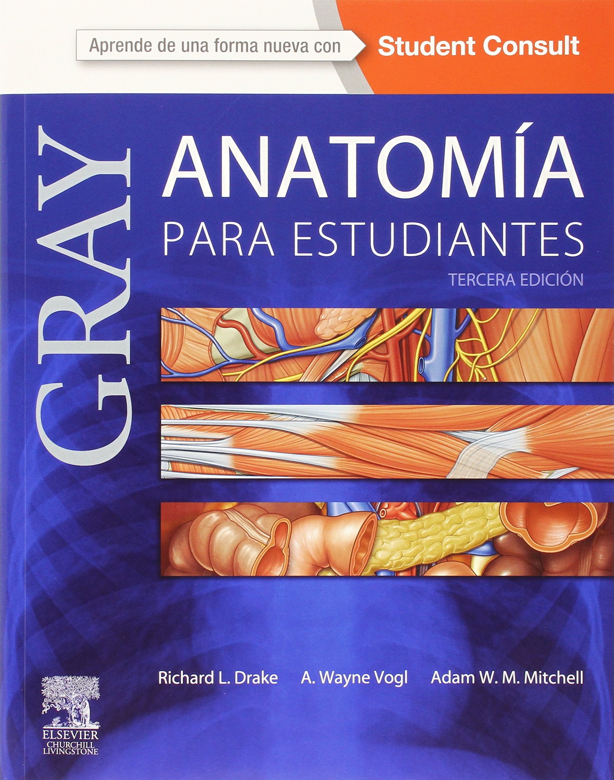 Gray. Anatomía Para Estudiantes - 3ª Edición