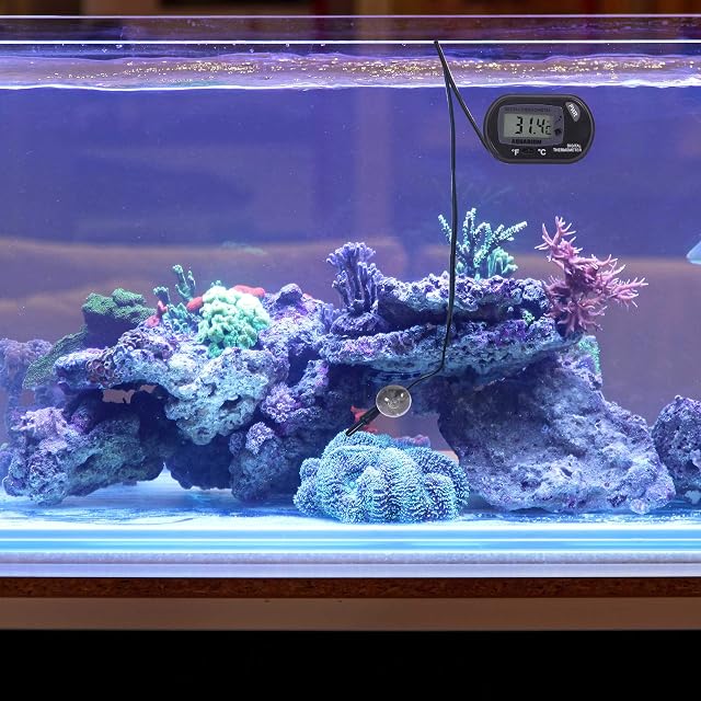 Foto 3 de 6 de DIGIFLEX Termómetro Acuario - Temperatura Digital Pecera