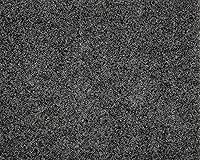 Vista 2 de KOECKRITZ Alfombra de área de 12'x14' interior/exterior duradera suave! - Humo