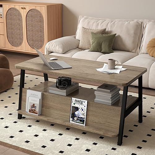 Miniatura 7 de GOODONE Mesa de centro de 2 niveles para sala de estar, mesa de centro pequeña con estante de almacenamiento y estantería, mesa central para sala de