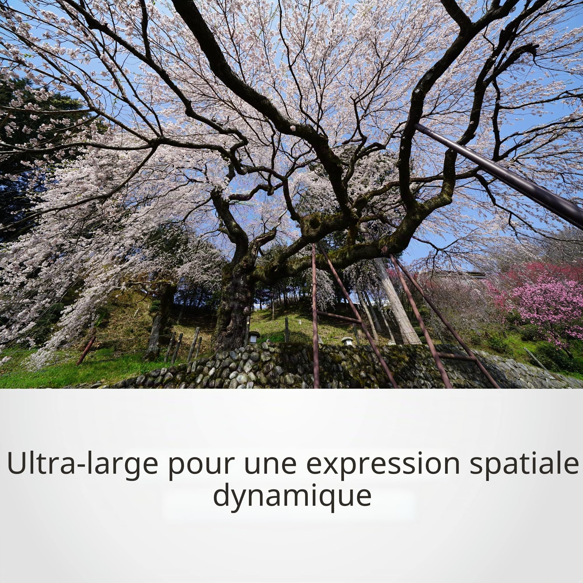 Sony SEL1224G Optique Monture E Plein Format 12-24 mm F4 pour Appareil Photo Hybride Sony