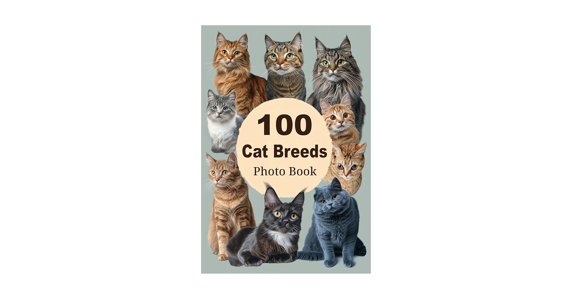 本256／洋書　図鑑　all the World's Cat Breeds The Illustrated Encyclopedia of Cat Breeds: The