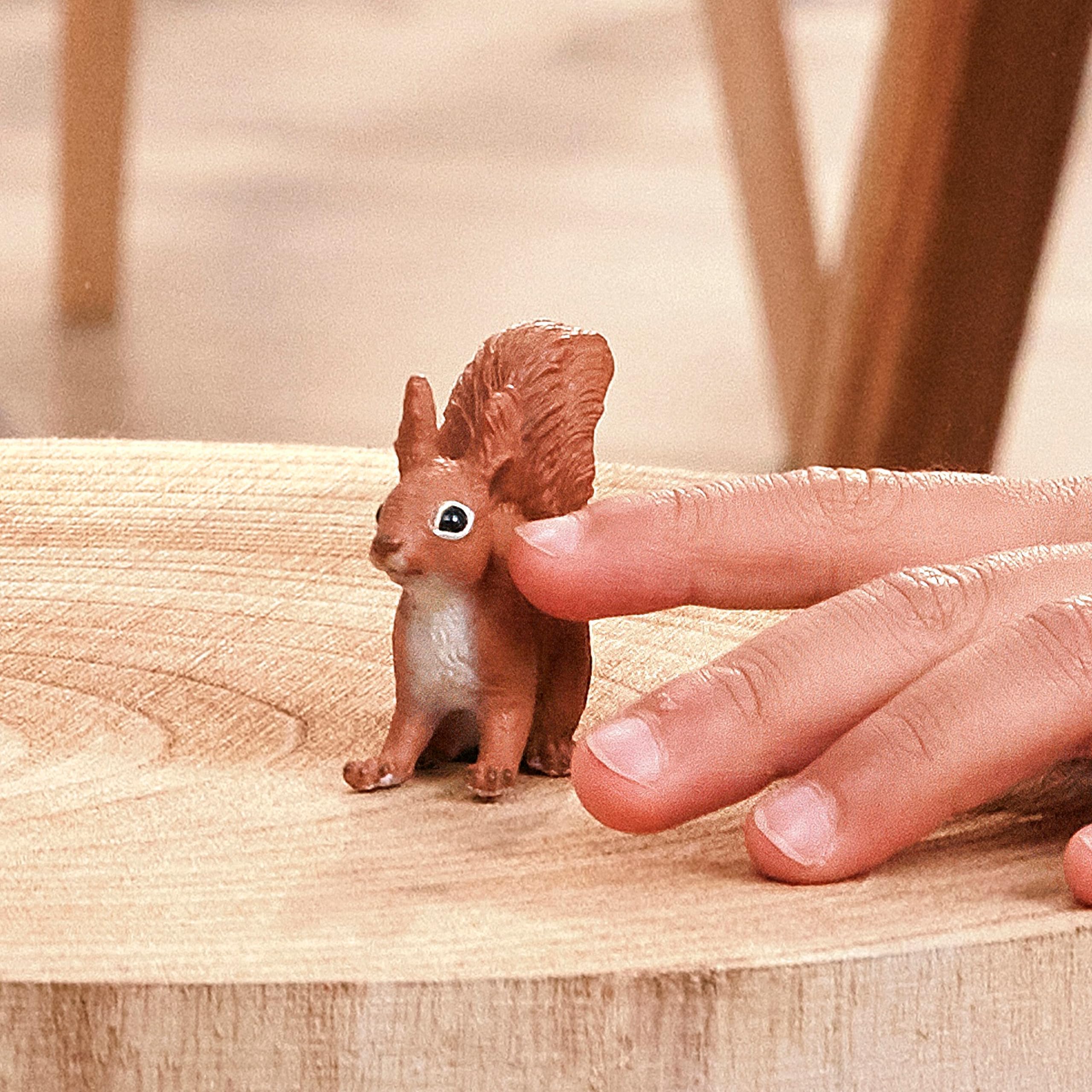 Schleich Squirrel 14936, Animals & Insects - Amazon Canada