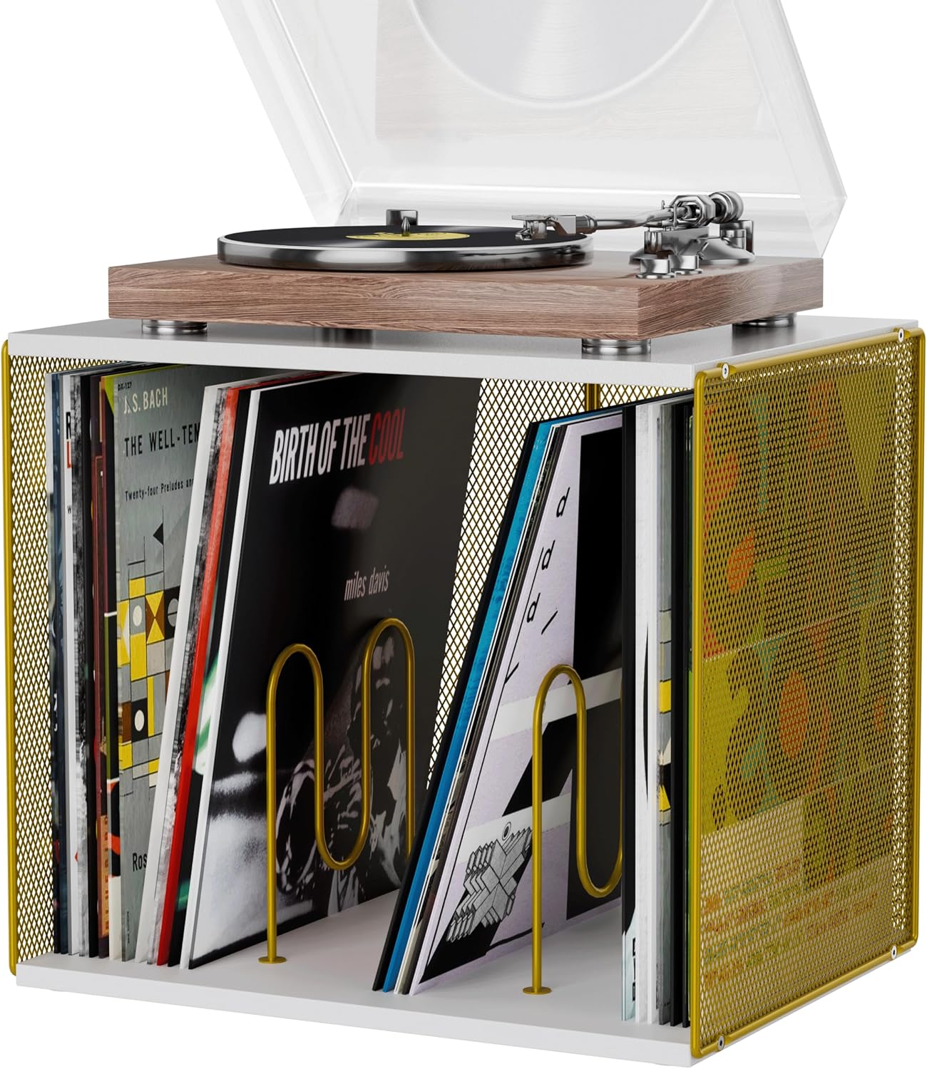 1 Cube Vinyl Record Storage, Wooden Stackable Record Crate, White & Gold