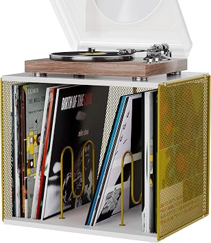 1 Cube Vinyl Record Storage, Wooden Stackable Record Crate, White & Gold