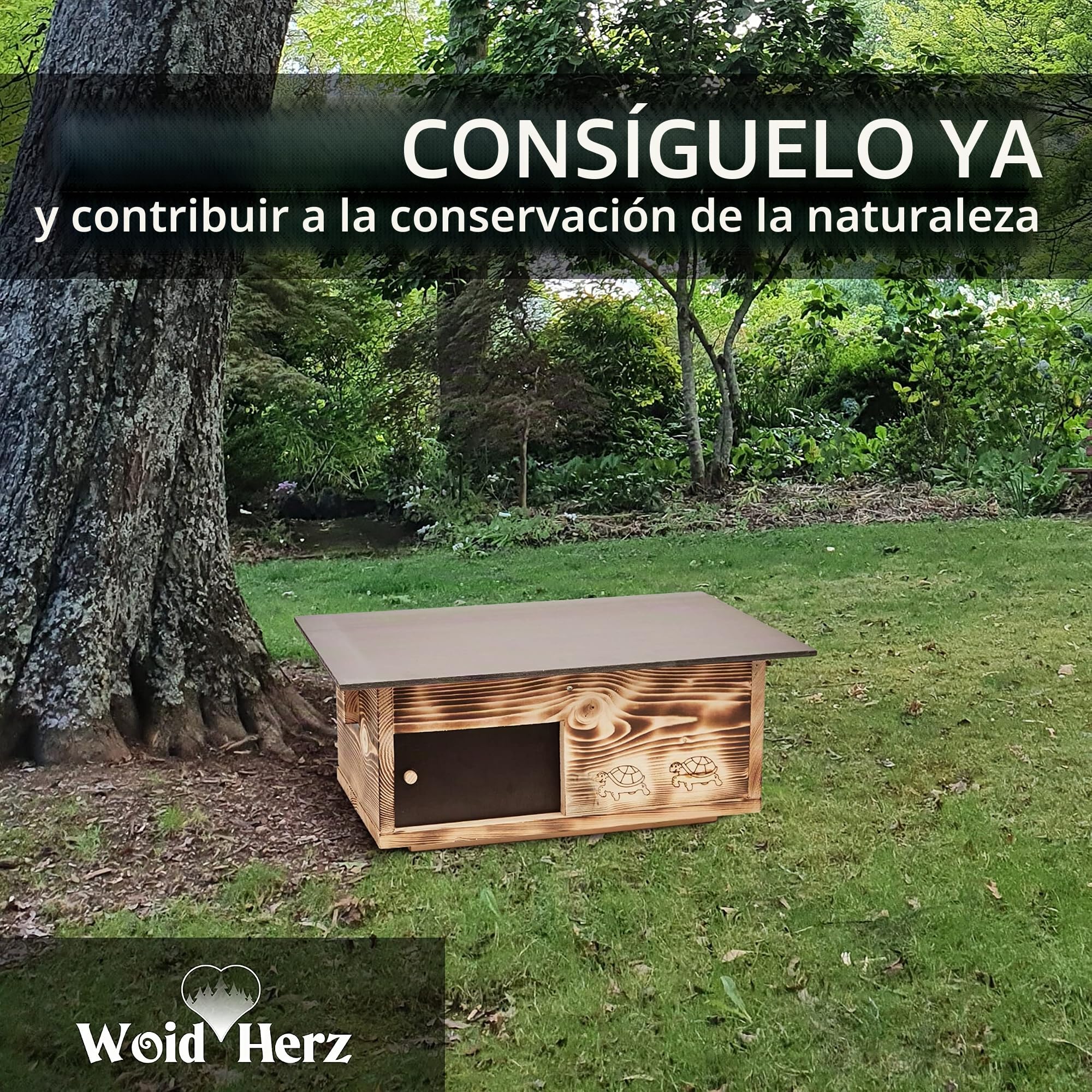 Caseta para tortugas de madera maciza (SH4) de 20 mm, resistente a la intemperie, con suelo y puerta corredera, incluye ventilación ajustable, tortuga, recinto para tortugas