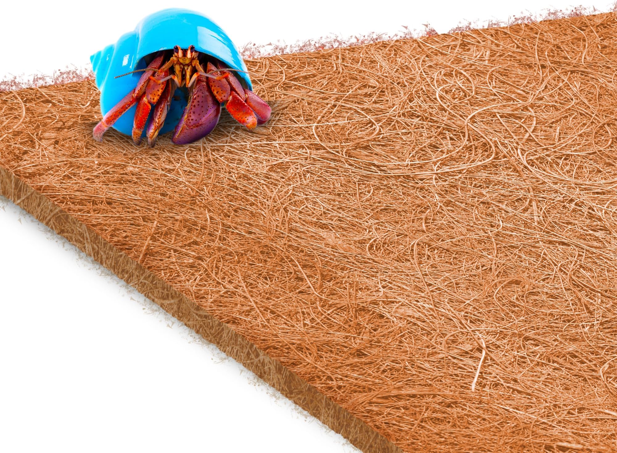SunGrow Coco Fiber Hermit Crab & Reptile Carpet, Gecko