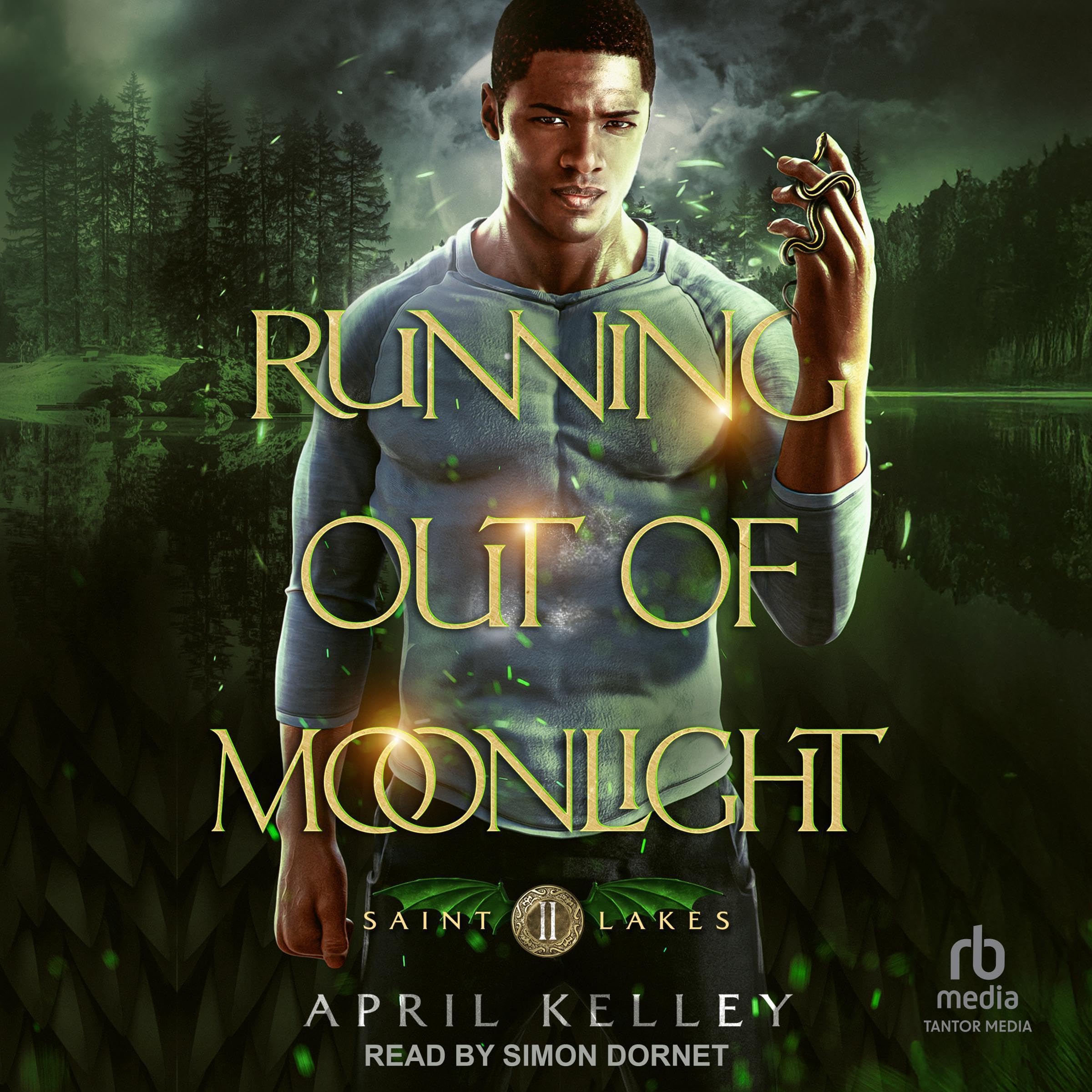 Cover art for Running Out of Moonlight