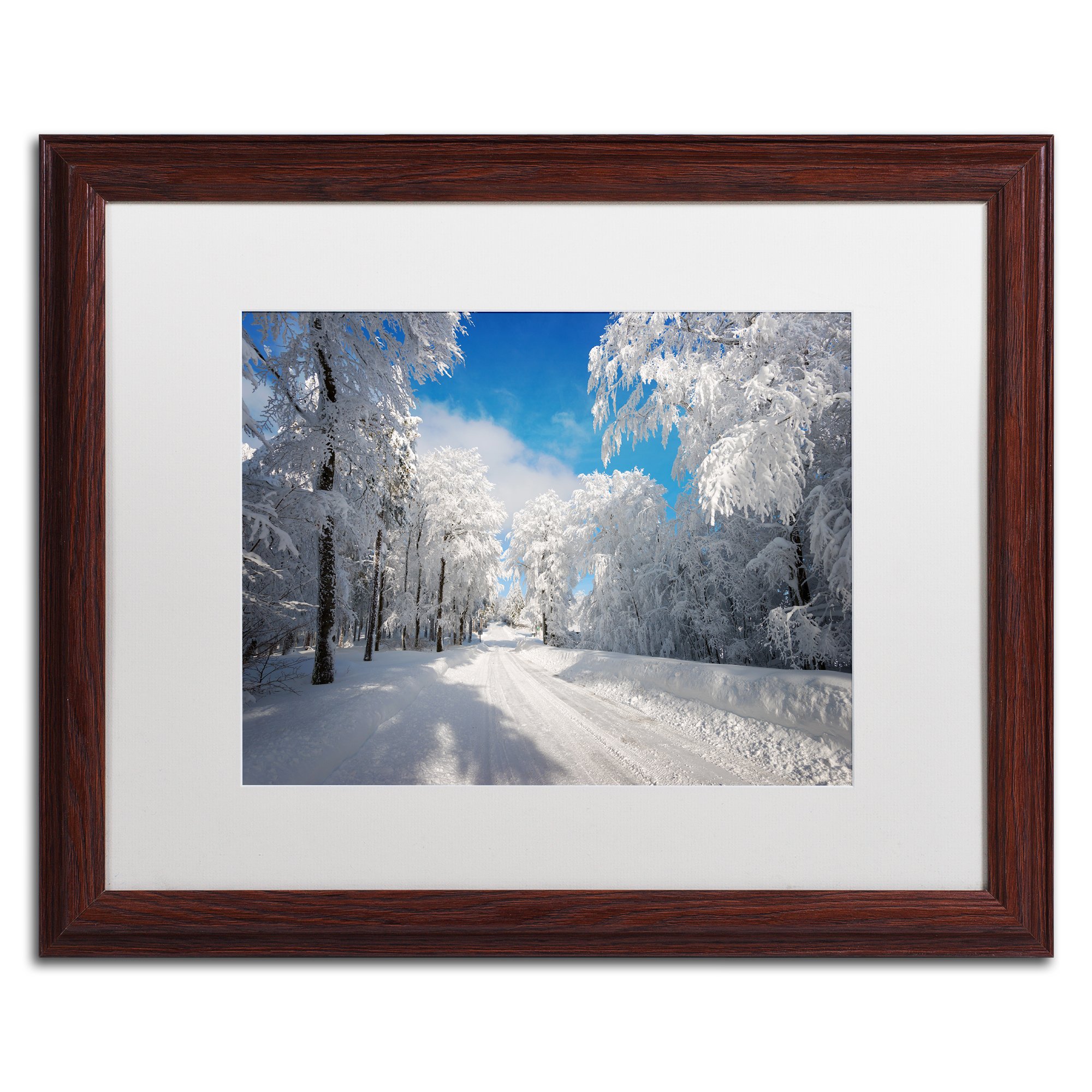 Going Nowhere by Philippe Sainte-Laudy, White Matte, Wood Frame 16x20-Inch