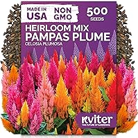 Vista 44 de KVITER 25 semillas de algodón blanco para plantar (Gossypium hirsutum) – Planta de algodón real, semillas de algodón para cultivo, semillas
