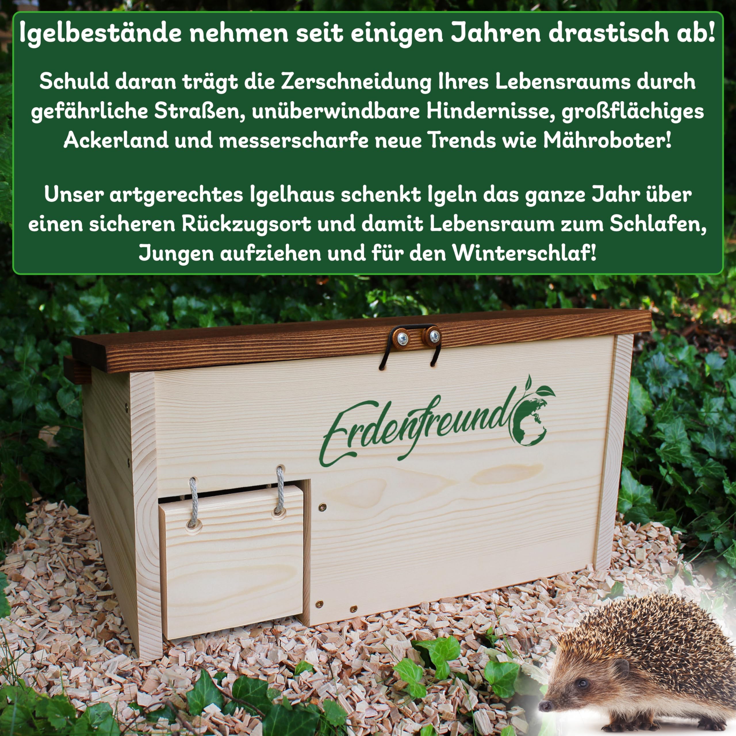 Erdenfreund® Igelhaus mit Rattenklappe, Sicherheitsverschluss & Labyrintheingang gegen Fressfeinde Igelhotel groß für den Winterschlaf & zum Nisten (Igelhaus Winterquartier & Nisthaus rattensicher)