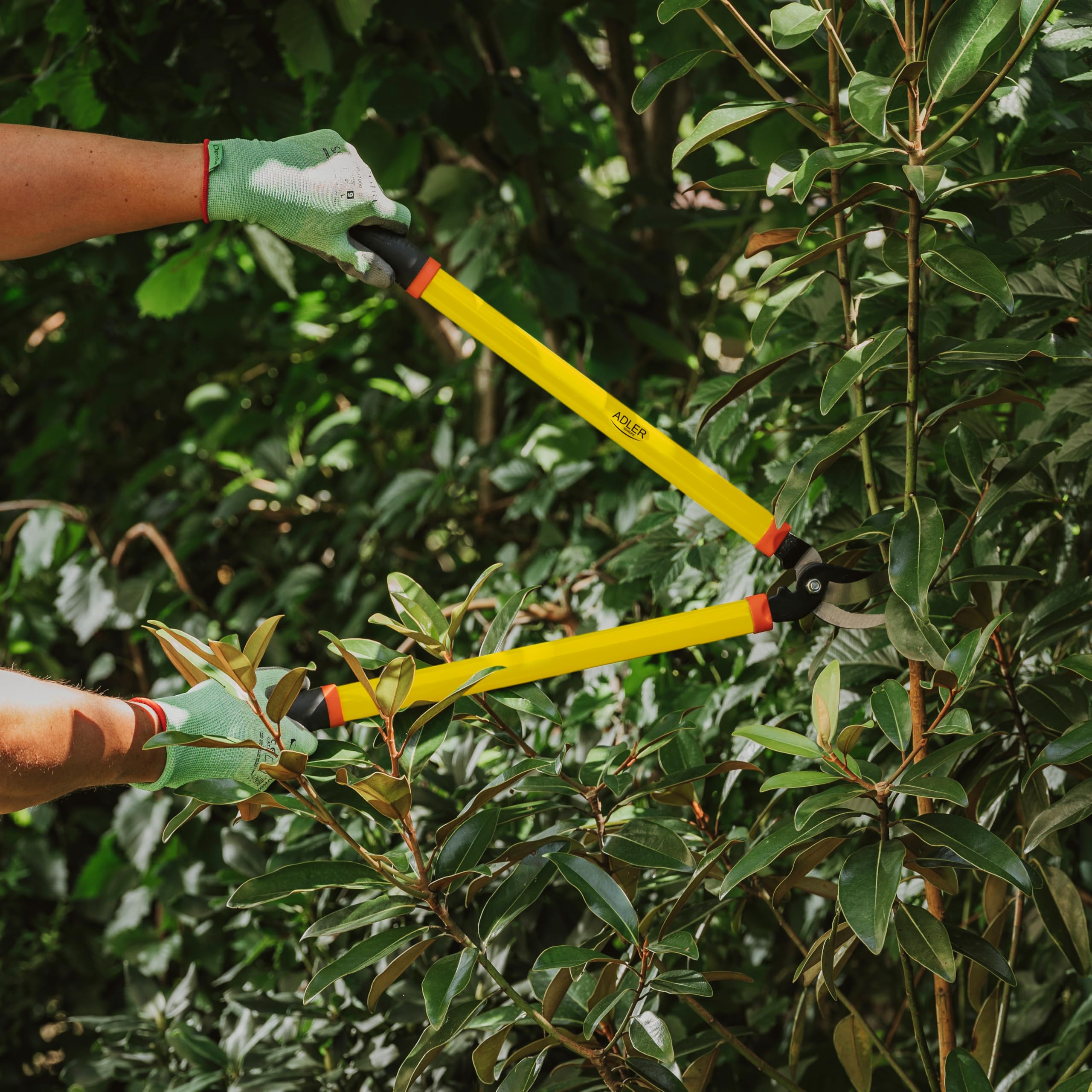 ADLER EUROPR Gartenwerkzeug Set - Heckenschere manuell und Gartenschere klein - Hochwertiger Stahl, Aluminiumlegierung - Für Gärtner, Kleingärtner und Pflanzenfreunde – Präzisionsschneidwerkzeug